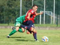 Serie D, ecco i gironi 2014/2015: le cinque bergamasche contro squadre venete e lombarde