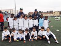 Fiorente Colognola scuola calcio arcobaleno  Gibellini: “Il nostro quartiere ha meno bambini e le provenienze sono da ogni parte del mondo”