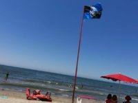 Anche da Viareggio, forza Atalanta!