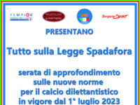 Legge Spadafora, parola agli esperti. Quattro esperti del lavoro rispondono alle domande dei nostri lettori