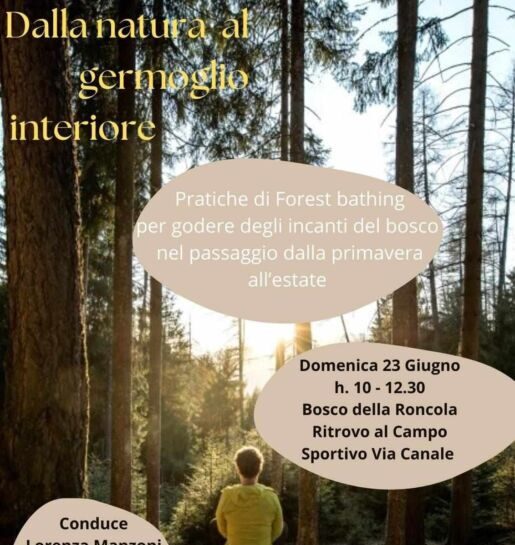 L’energia della natura: alla Roncola il forest bathing domenica 23